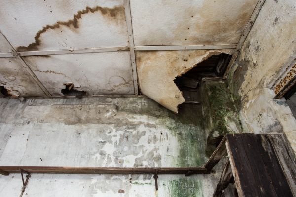 Water Damage Service in Dacula