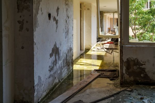Water Removal Service in Dacula