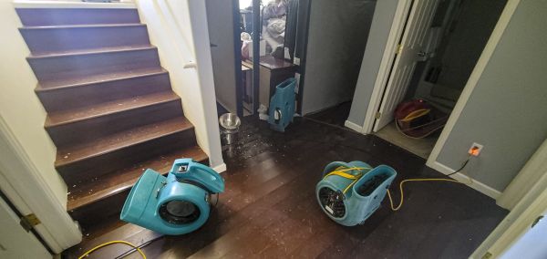 Water Damage Remediation in Dacula