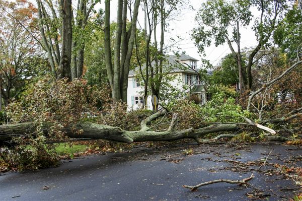 Tornado Damage Repair in Dacula