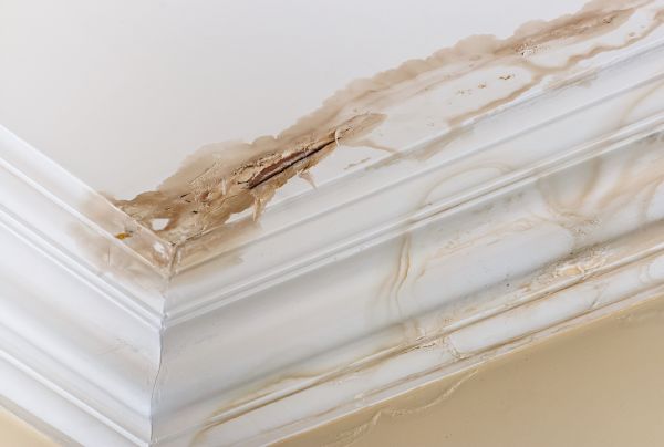 Water Damage Recovery in Dacula